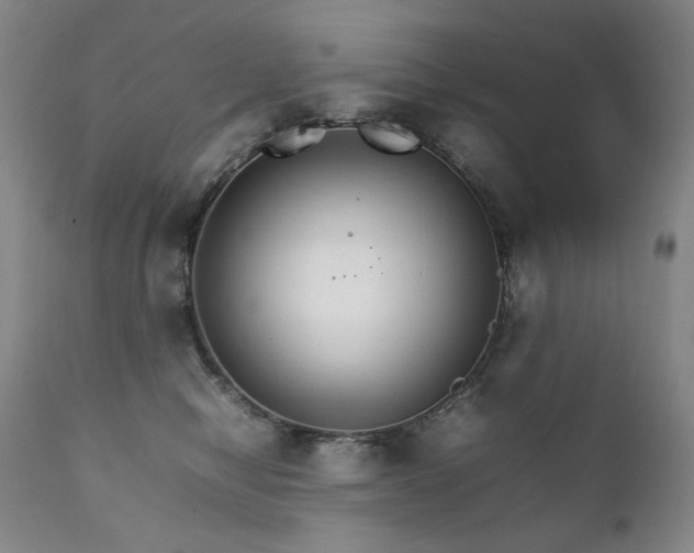 X0000111210470200907011449