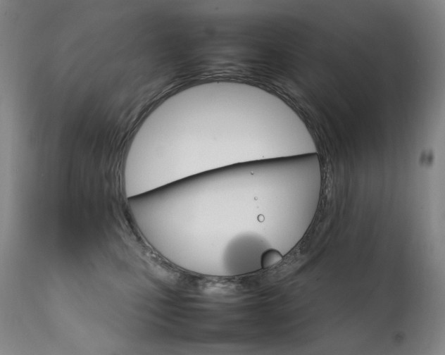 X0000111210471200907011449