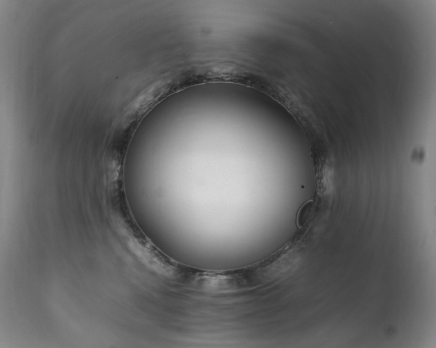 X0000111210472200907011449