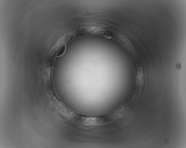 X0000111210473200907011449