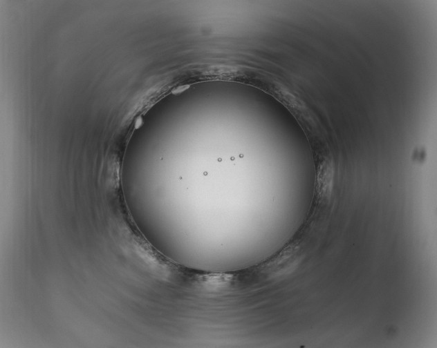 X0000111210474200907011449