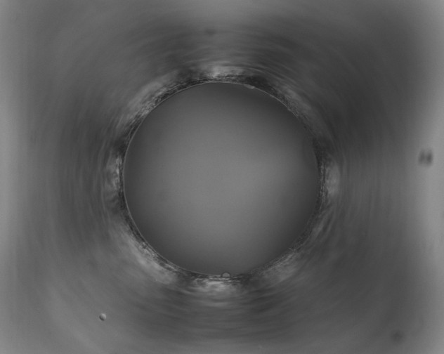 X0000111210475200907011449