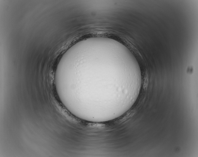 X0000111210476200907011449