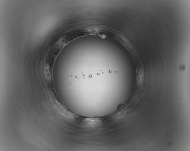 X0000111210477200907011449