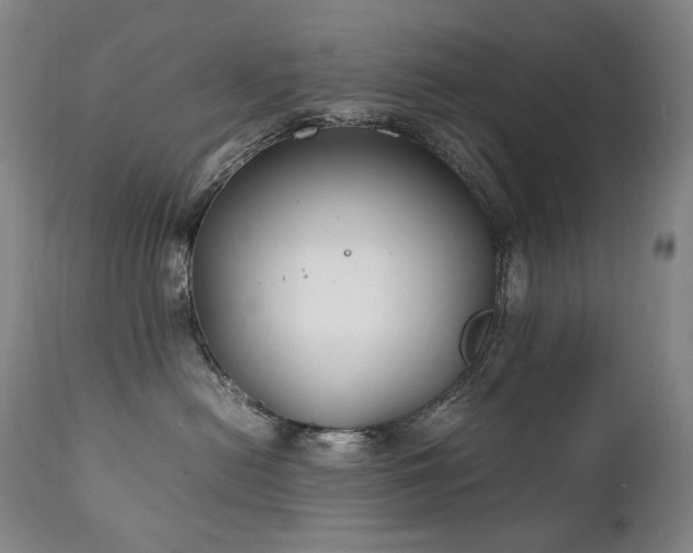 X0000111210478200907011449