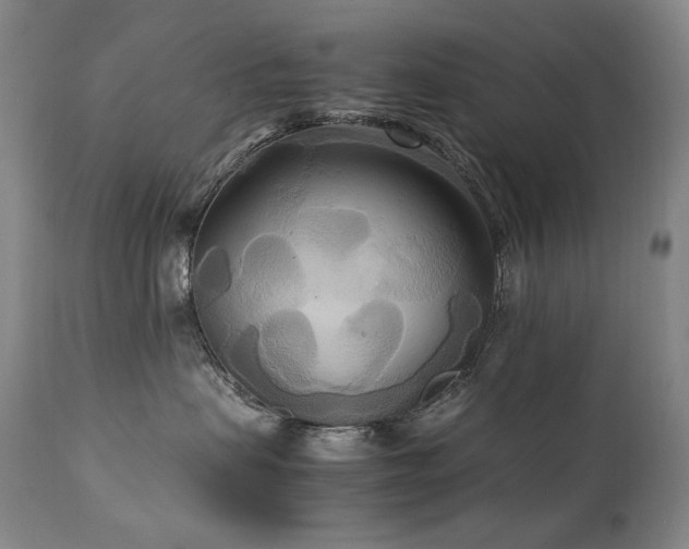 X0000111210479200907011449