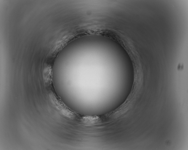 X0000111210480200907011449