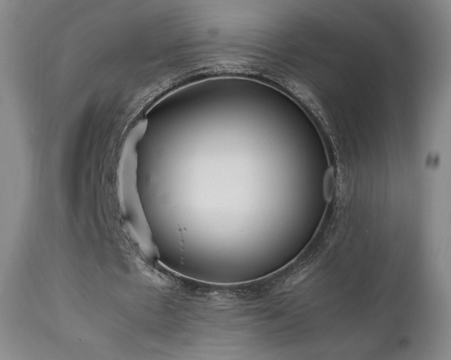 X0000111210481200907011448