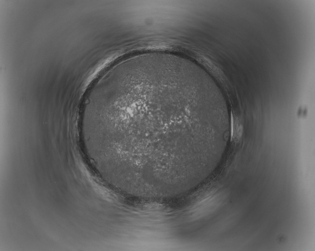 X0000111210483200907011448