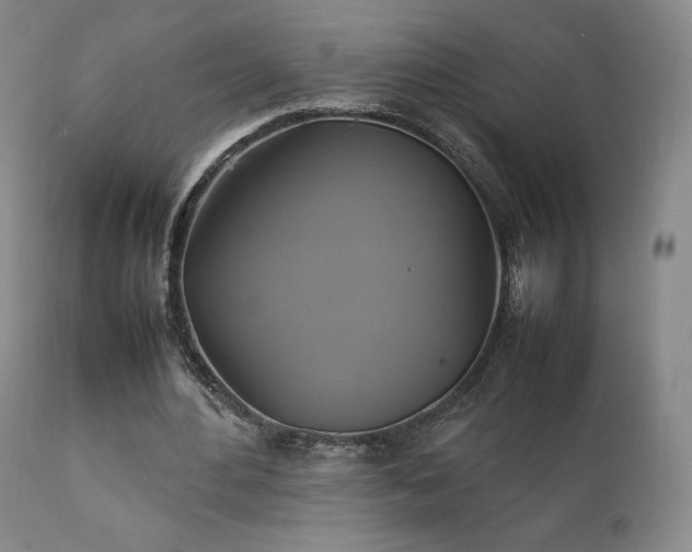 X0000111210484200907011448