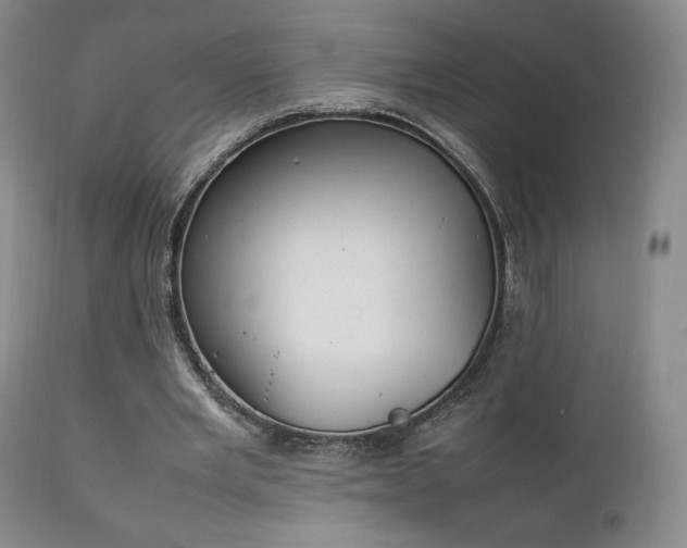 X0000111210485200907011448