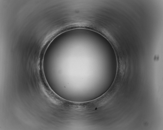 X0000111210486200907011448