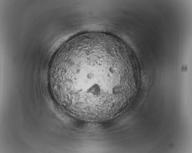 X0000111210487200907011448