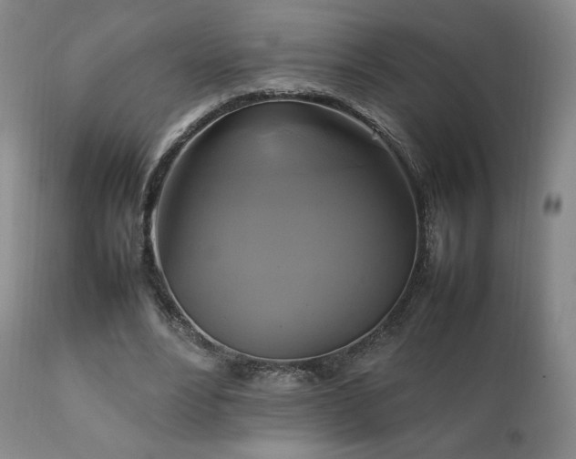 X0000111210488200907011448