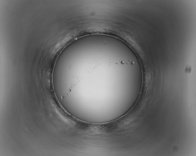 X0000111210489200907011448