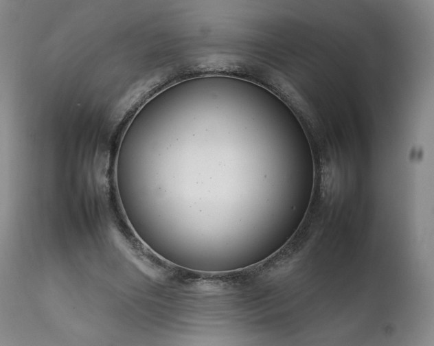 X0000111210490200907011448