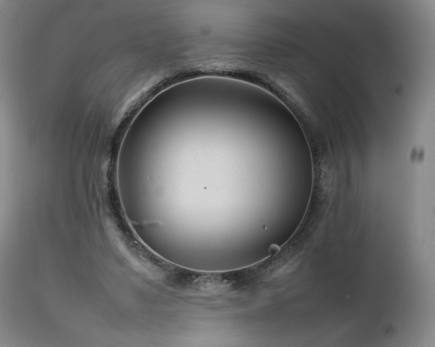 X0000111210491200907011448