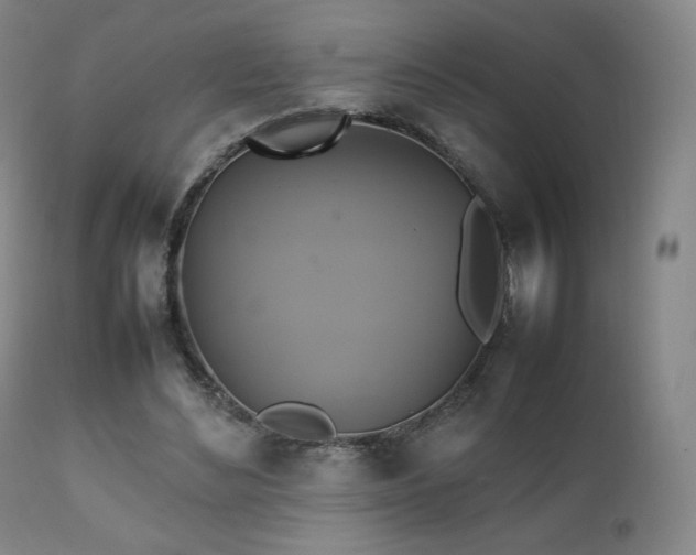 X0000111210492200907011448