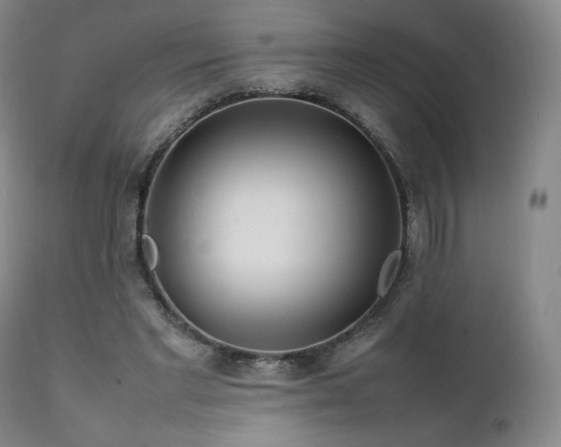 X0000111210493200907011448