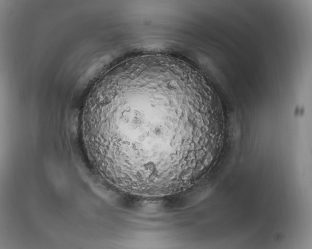 X0000111210495200907011448