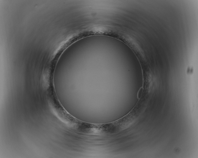 X0000111210496200907011448