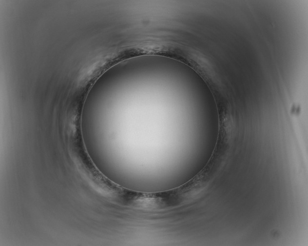 X0000111210499200907011448