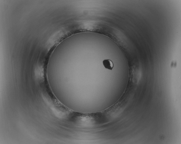 X0000111210500200907011448