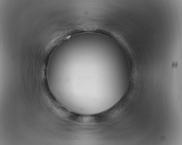 X0000111210501200907011448