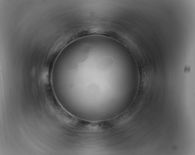 X0000111210502200907011448