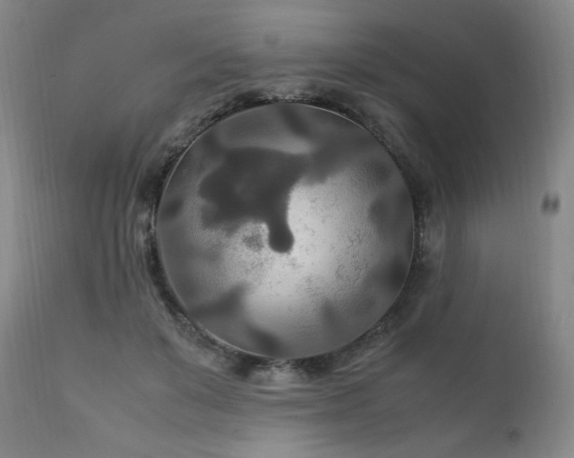 X0000111210503200907011448