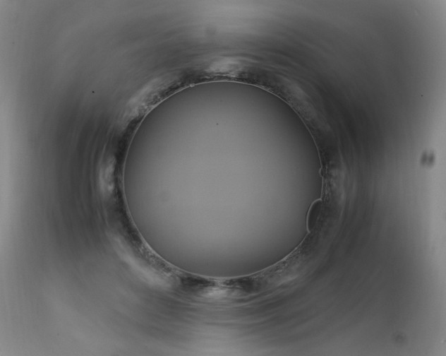 X0000111210504200907011448