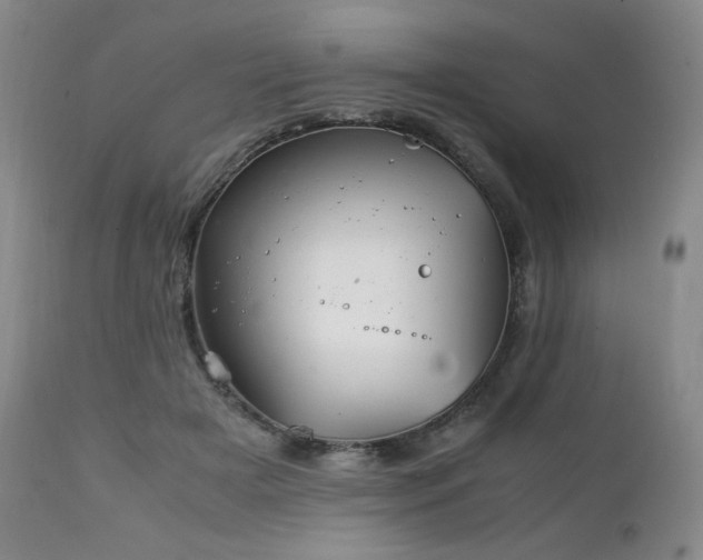 X0000111210505200907011448