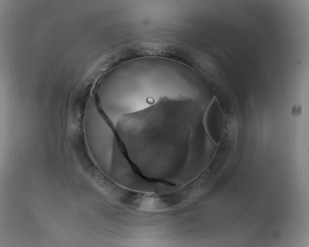 X0000111210507200907011448