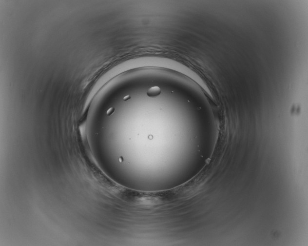 X0000111210508200907011448