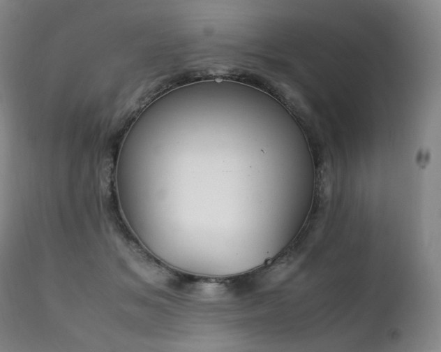 X0000111210509200907011448