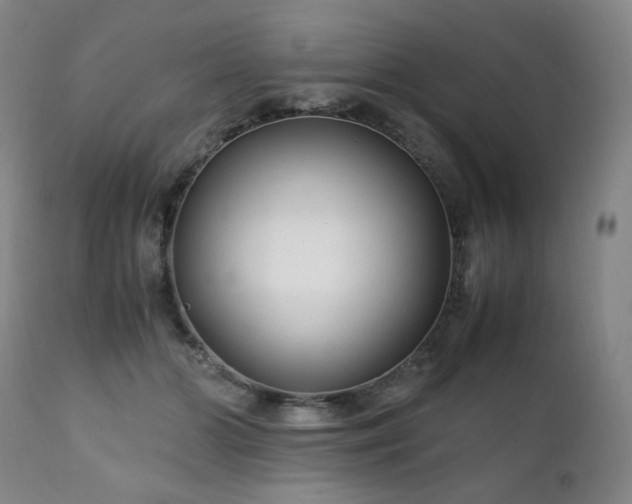 X0000111210510200907011448