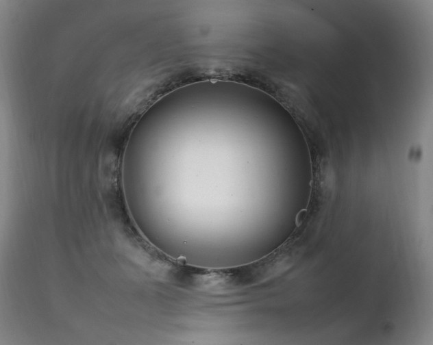 X0000111210511200907011448