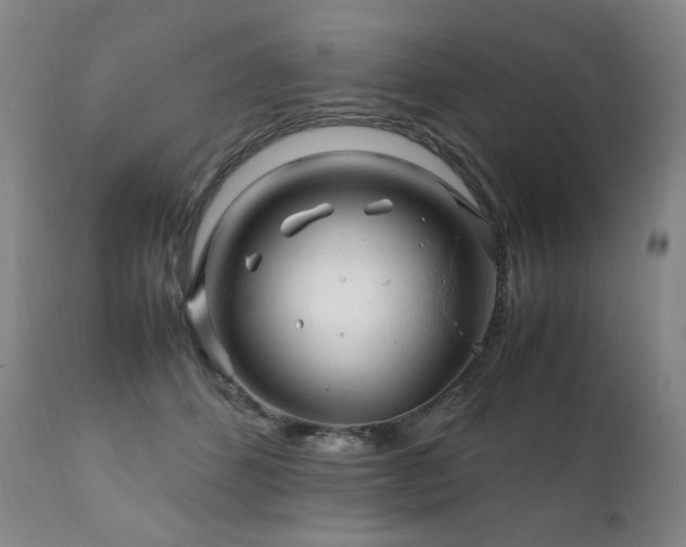 X0000111210512200907011448