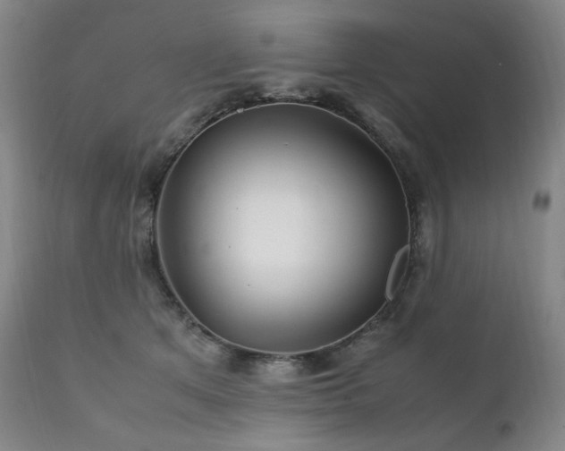 X0000111210513200907011448