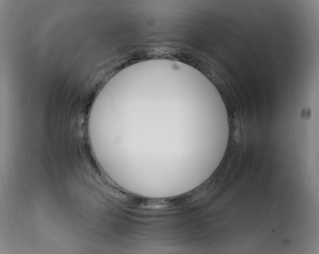 X0000111210514200907011448