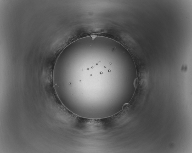 X0000111210515200907011448