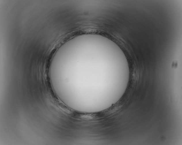 X0000111210516200907011448