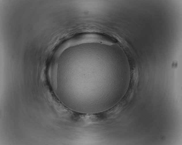 X0000111210517200907011447