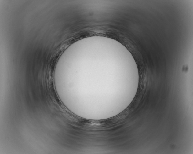 X0000111210518200907011447