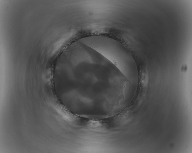 X0000111210519200907011447