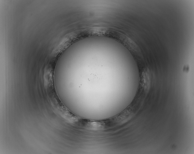 X0000111210522200907011447