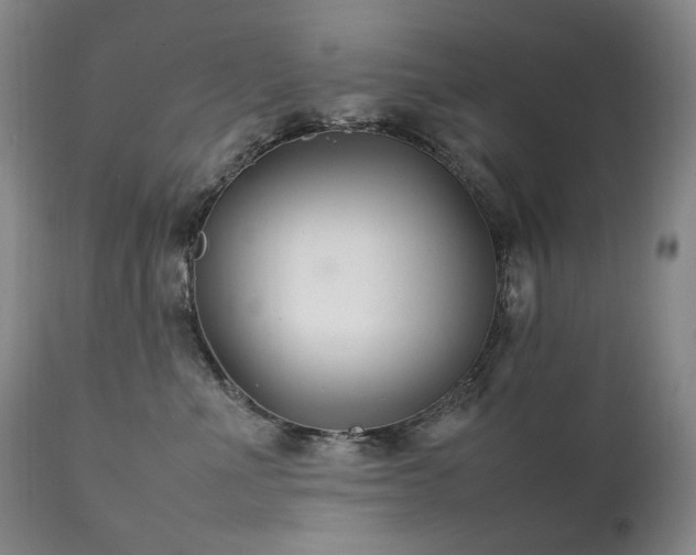 X0000111210523200907011447