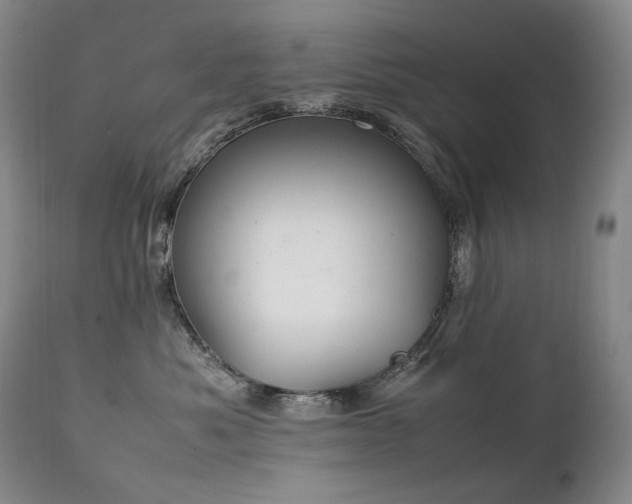 X0000111210525200907011447