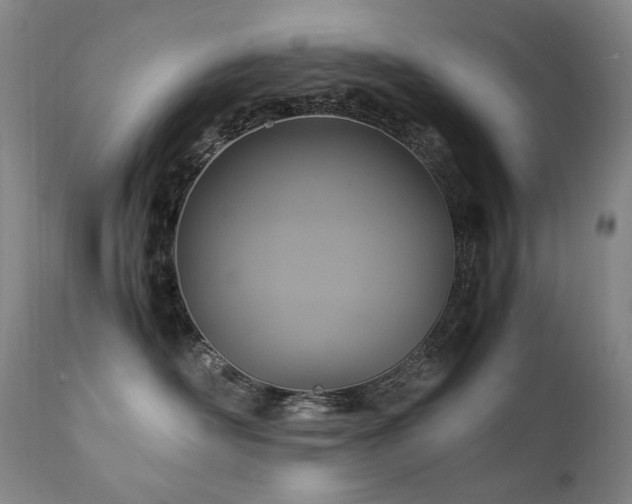 X0000111210526200907011447