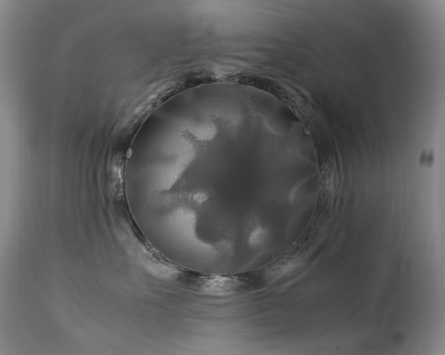 X0000111210527200907011447